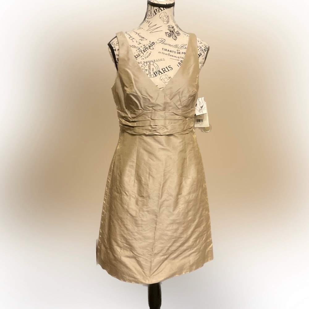 Champagne Colored Silk Dress